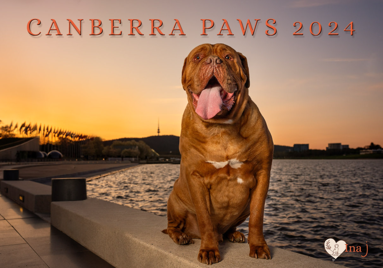 Canberra Paws 2024 Calendar preorder